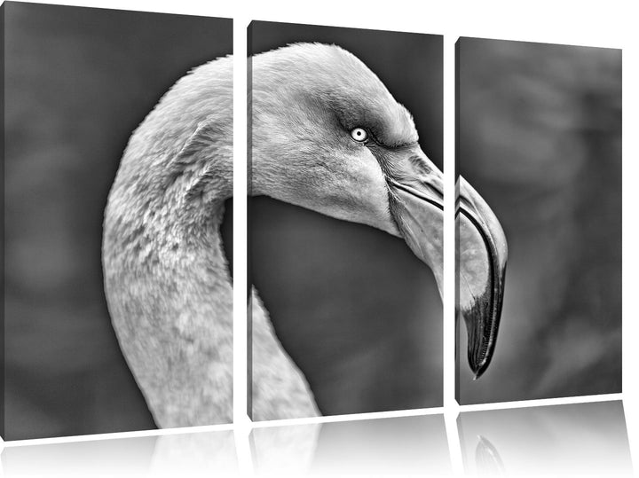 Pixxprint Flamingo im Seitenprofil als Leinwandbild/Grösse: 3 Teilig (120x80) cm/Wandbild/Kunstdruck