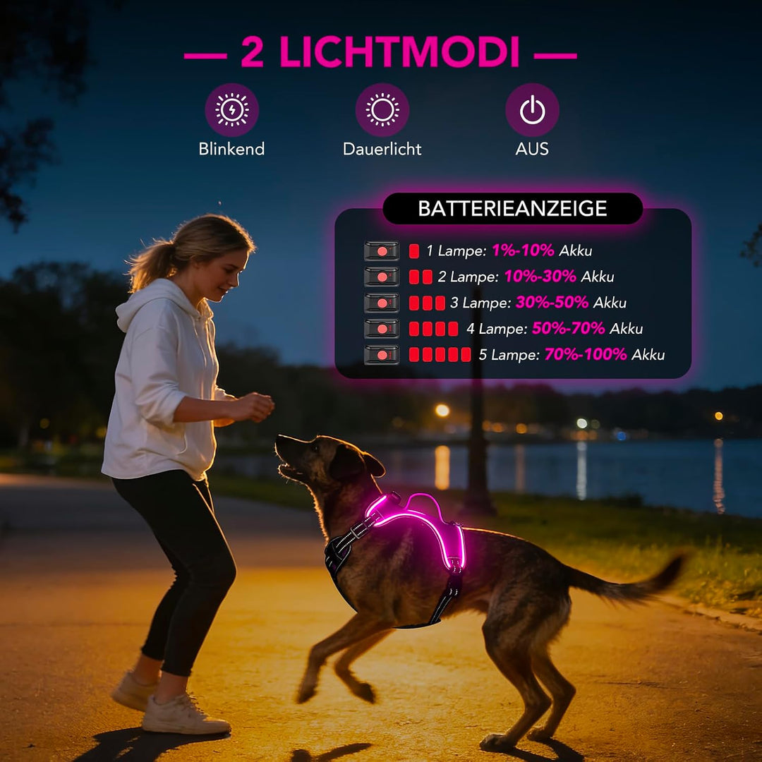 Hundegeschirr Leuchtend Wiederaufladbares Leuchtgeschirr für Hunde Led Beleuchtetes Hundegeschirr fü