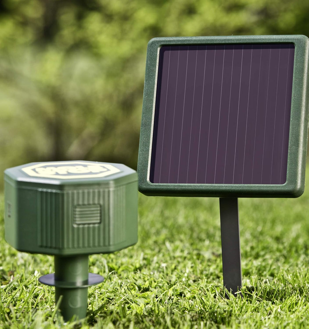 Windhager Solar Accu 6V/600 mAh für Wühlmausvertreiber Mole Stop Solar, Akku für Wühlmausabwehr, Zub