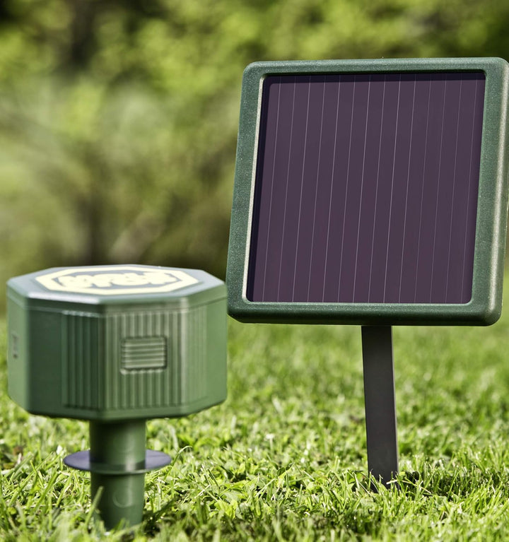 Windhager Solar Accu 6V/600 mAh für Wühlmausvertreiber Mole Stop Solar, Akku für Wühlmausabwehr, Zub