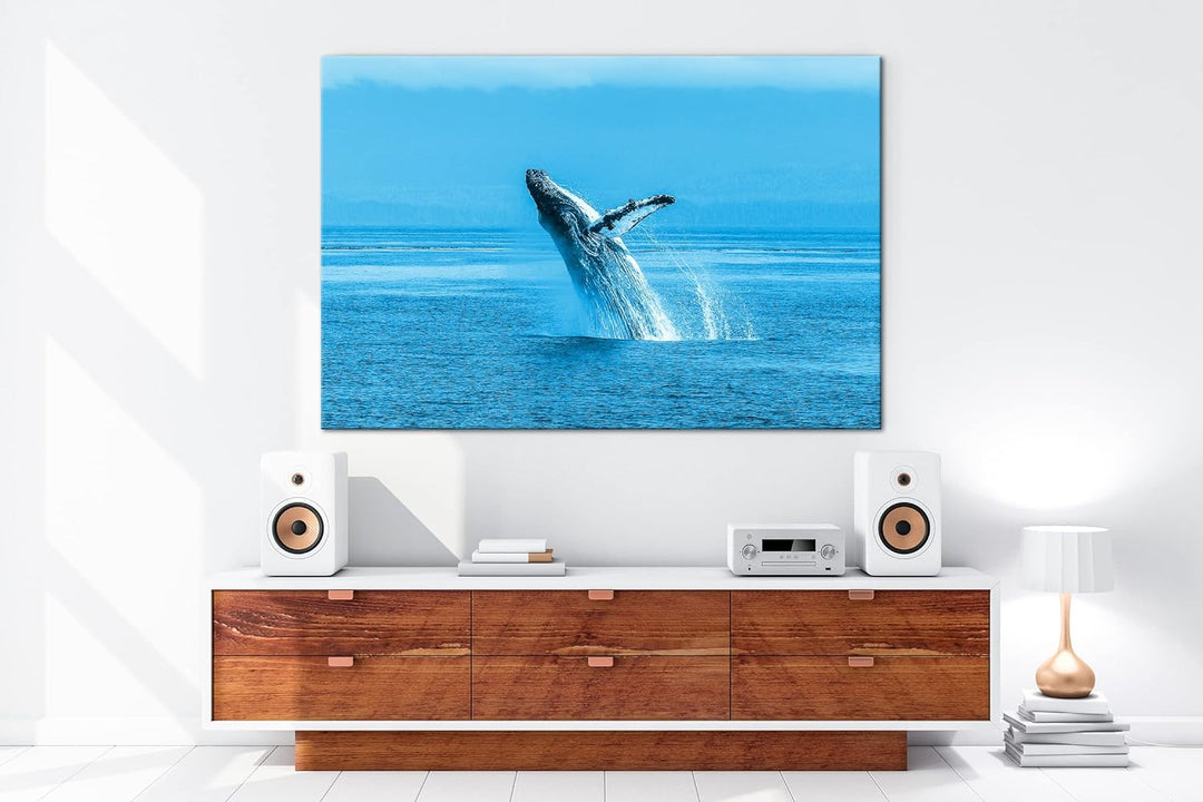 deyoli atemberaubender Buckelwal im Meer Format 80x60 Effekt: Monocrome Blau als Leinwandbild, Motiv