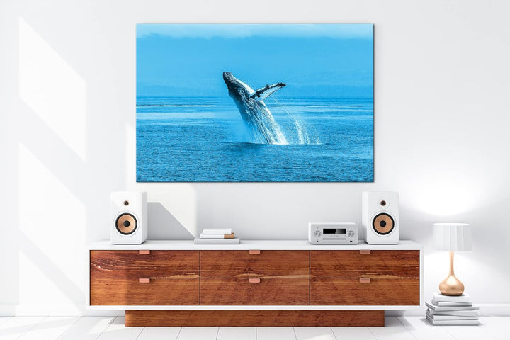 deyoli atemberaubender Buckelwal im Meer Format 80x60 Effekt: Monocrome Blau als Leinwandbild, Motiv