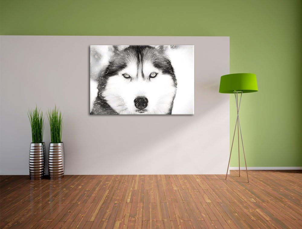 Husky Kohle Effekt, Format: 100x70 auf Leinwand, XXL riesige Bilder fertig gerahmt mit Keilrahmen, K