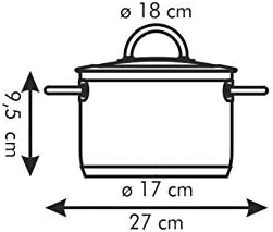 Tescoma Topf, Silber, 27 x 9.5 x 18 cm, 27 x 9.5 x 18 cm