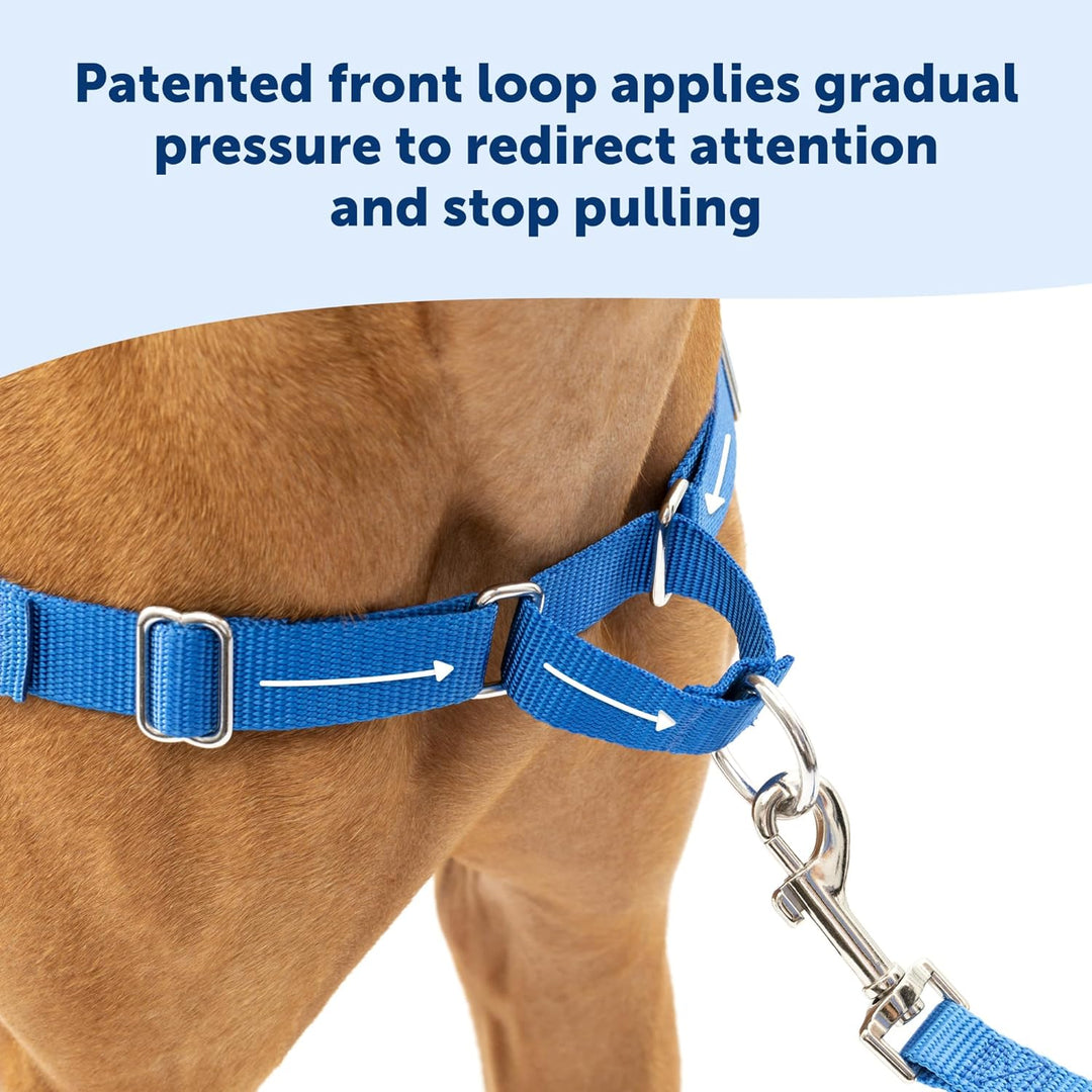 PetSafe Easy Walk Hundegeschirr. Himbeere/Grau Medium/Large, Himbeere/Grau Medium/Large