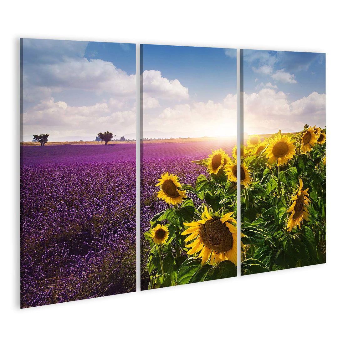 islandburner Bild auf Leinwand Lavendel Sonnenblumen Felder Provence Bilder Wandbilder Poster Leinwa