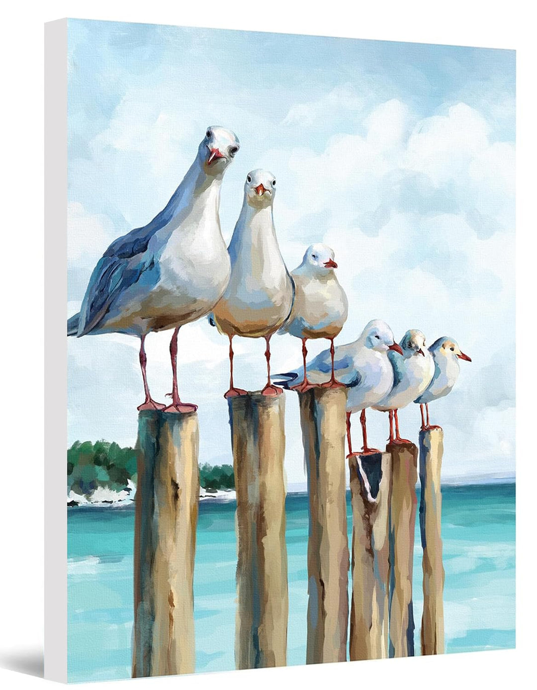 Malen Nach Zahlen möwe mit Rahmen, Malen Nach Zahlen Erwachsene Anfänger, Paint by Numbers Knitterfr
