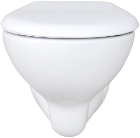 WC Toilette Hänge Wand WC (RosenStern) mit Soft-Close Deckel, Keramik