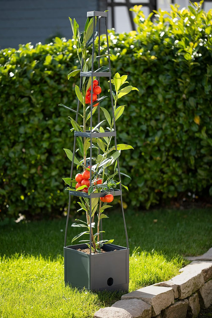 Meister Pflanzturm 150 x 25 x 25 cm - Für Tomaten & Rankgewächse - Mit Rankhilfe - 2,5 L Wassertank