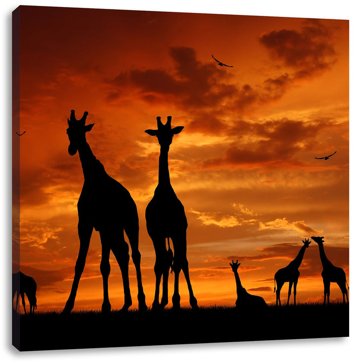 Pixxprint Afrika Giraffen im Sonnenuntergang, Format: 70x70 auf Leinwand, 70x70