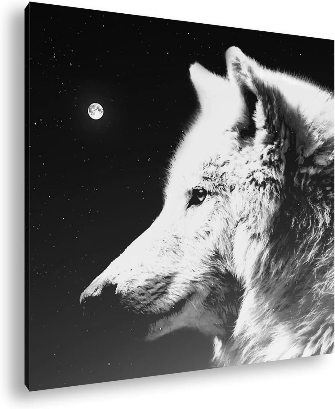 deyoli einsamer stolzer Wolf Format: 70x70 Effekt: Schwarz&Weiss als Leinwandbild, Motiv fertig gera