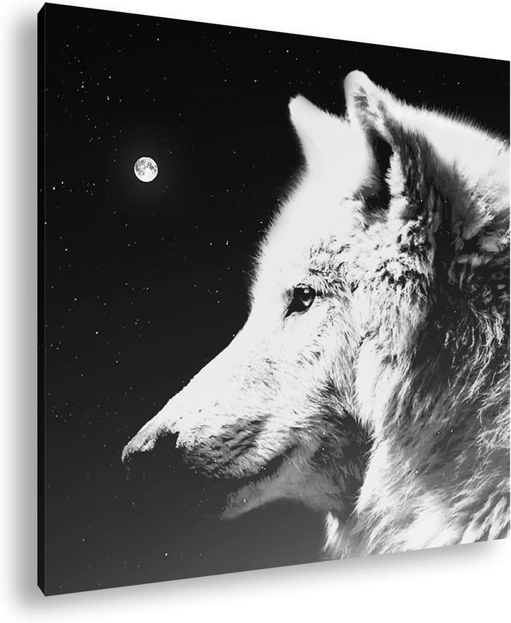 deyoli einsamer stolzer Wolf Format: 70x70 Effekt: Schwarz&Weiss als Leinwandbild, Motiv fertig gera