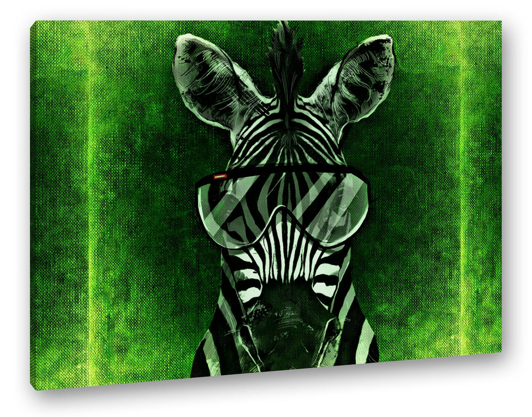 deyoli cooles Zebra mit einer stylischen Brille Format: 80x60 als Leinwandbild, Motiv fertig gerahmt