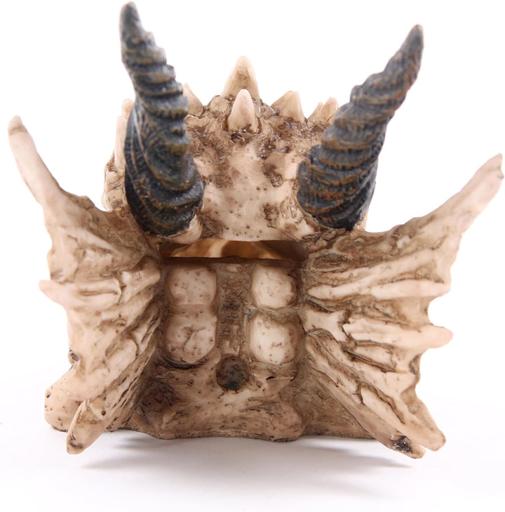 Puckator DRG186 Spardose Drachenschädel 19 x 11 x 11 cm, Gemischt, L