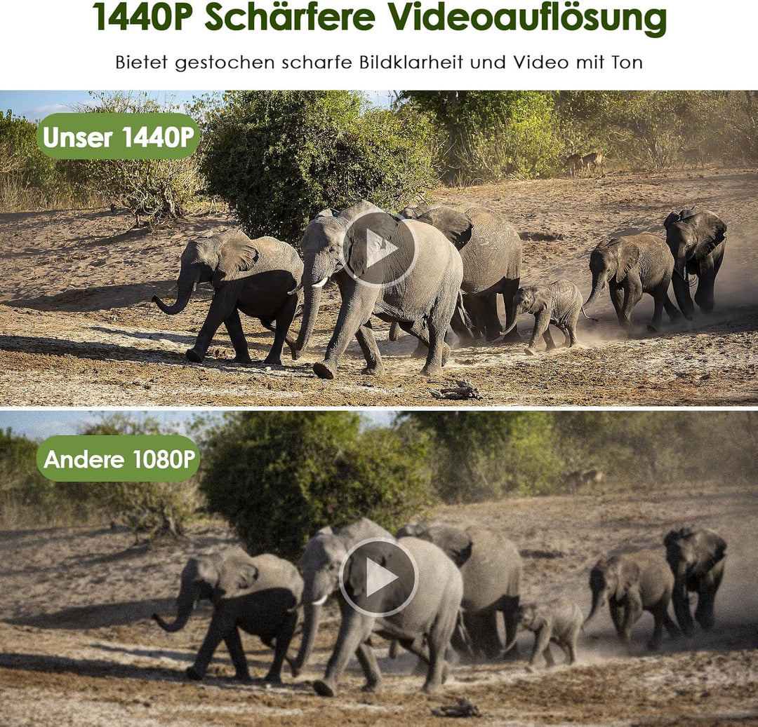 MAXDONE Wildkamera mit Bewegungsmelder Nachtsicht - WLAN mit Handyübertragung App 32MP 1440P Nachtsi