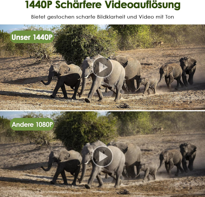 MAXDONE Wildkamera mit Bewegungsmelder Nachtsicht - WLAN mit Handyübertragung App 32MP 1440P Nachtsi