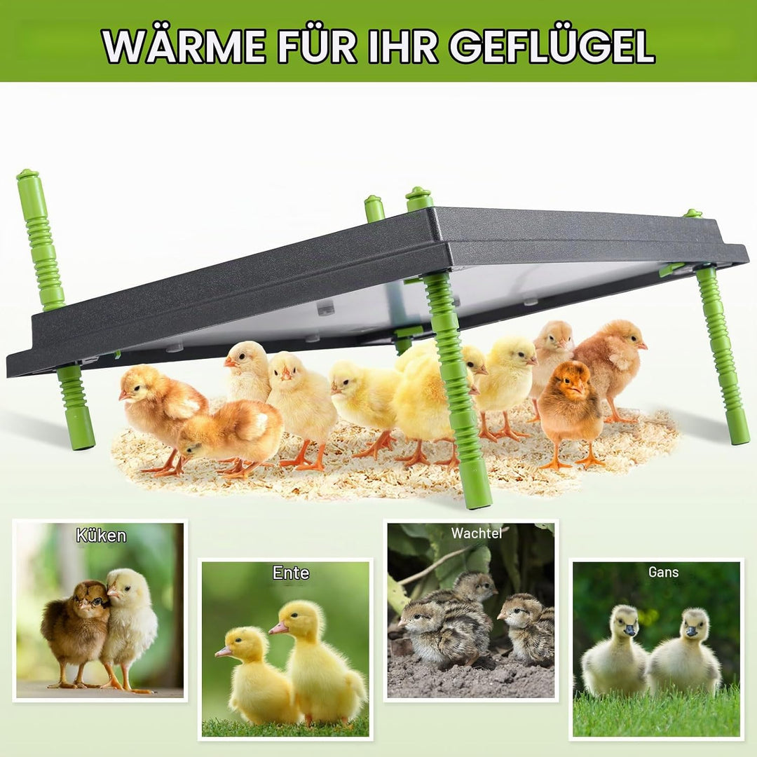 Plotohiker Wärmeplatte Küken,Kükenwärmer Wärmelampe,Heizplatte für Kükenaufzucht,Kunstglucke 40 x 55