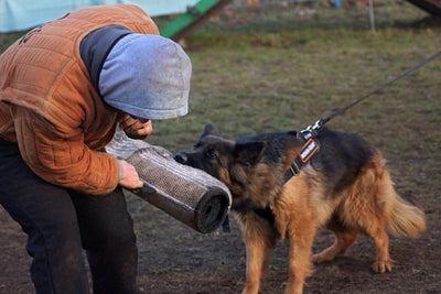 Dingo Gear Schutzärm Garda Universal Schutz für das Hundetraining IGP, K9 Jute S00542, Jute