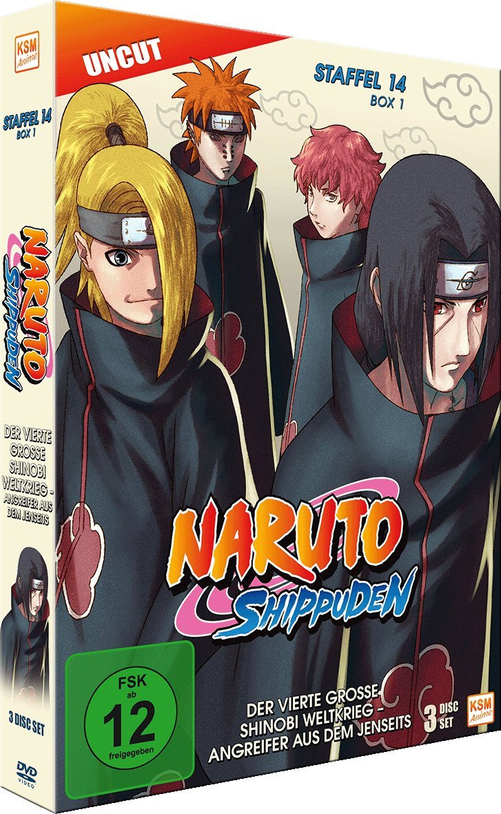 Naruto Shippuden - Staffel 14 - Box 1 (Episoden 516-528, Uncut) [3 Disc Set], DVD