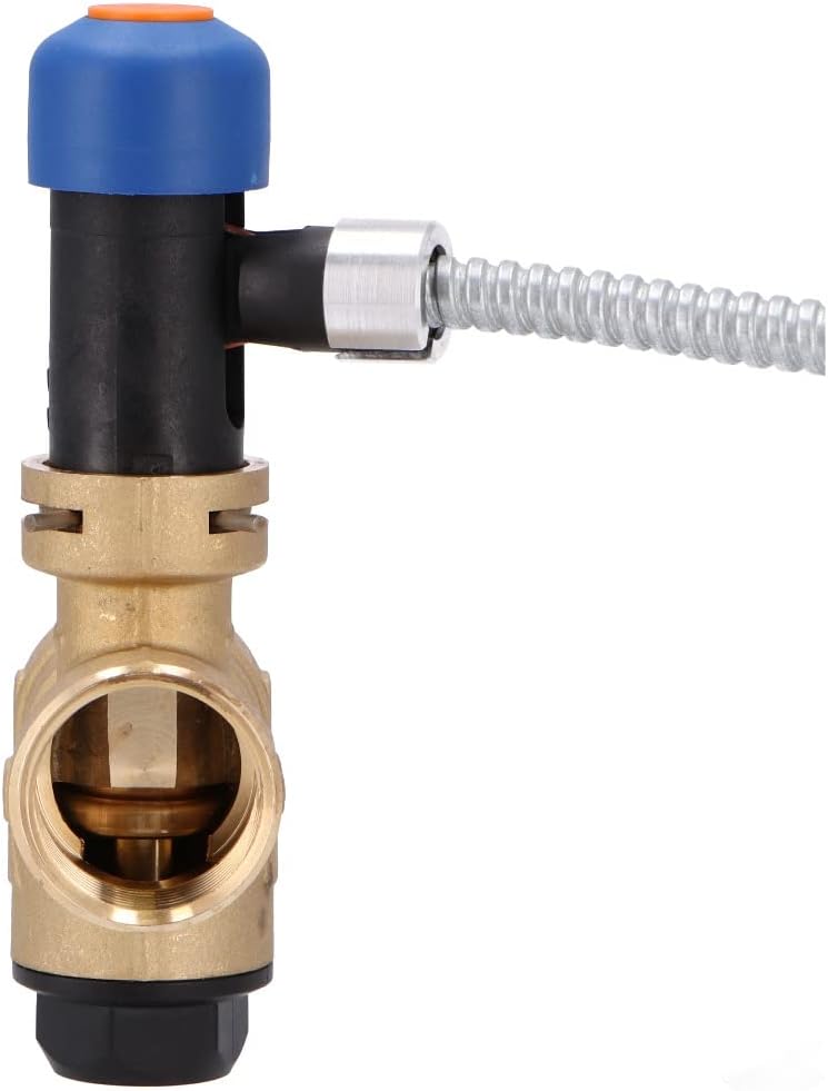 Thermische Ablaufsicherung STS 20 für Festbrennstoffkessel | Watts