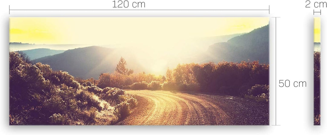 ge Bildet Bild auf Leinwand | Landschaftsbilder - road in forest E in 120x50 cm als Panorama Wandbil