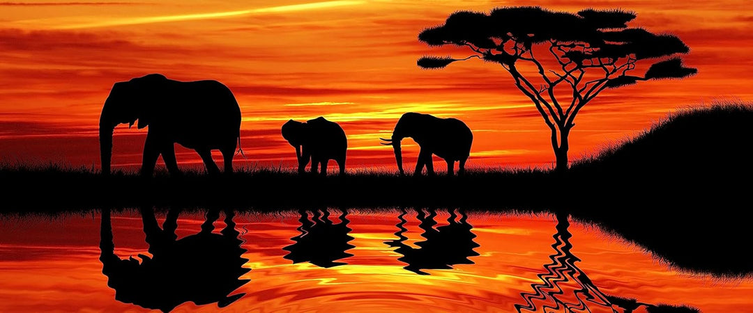 Glasbild Panorama | Wandbild aus Echtglas | Afrika Elefant in Sonnenschein | 120x50 cm | inkl. Aufhä