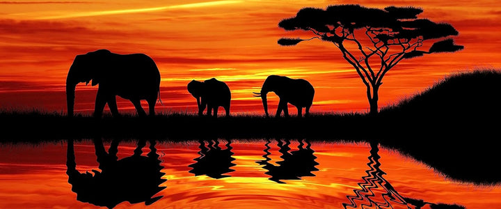 Glasbild Panorama | Wandbild aus Echtglas | Afrika Elefant in Sonnenschein | 120x50 cm | inkl. Aufhä