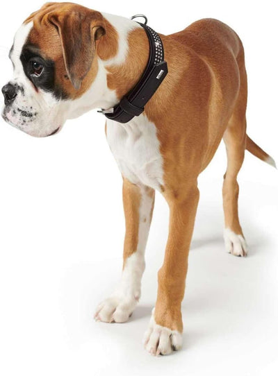 HUNTER SOFTIE TRILUXE Hundehalsband, Kunstleder, glitzernde Strasssteine, 60 (M-L), schwarz schwarz