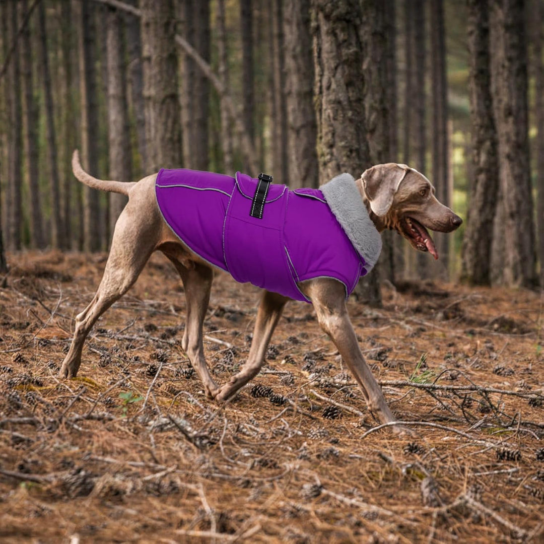 Lelepet Winter Hundemantel, Wasserdichter Wintermantel für Kleine Hunde, Warme Hundejacke mit Fleece