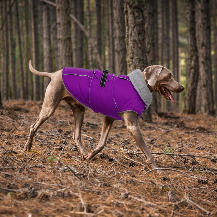 Lelepet Winter Hundemantel, Wasserdichter Wintermantel für Kleine Hunde, Warme Hundejacke mit Fleece