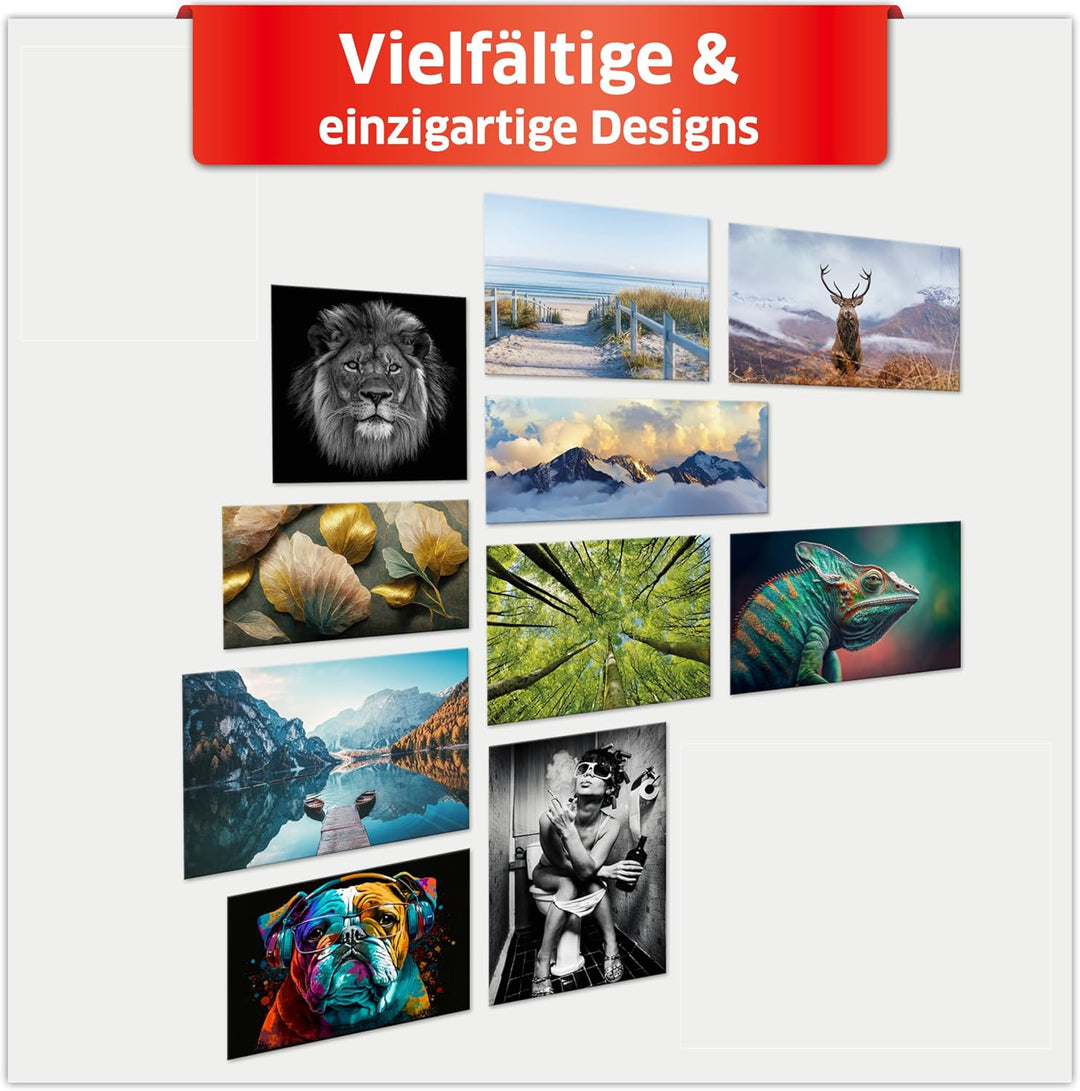 Primus Print - Wandbild Glasbild - Acrylglas Aludibond (Aluminium, Löwe 59,4x59,4 cm /A1 quadrat) Al