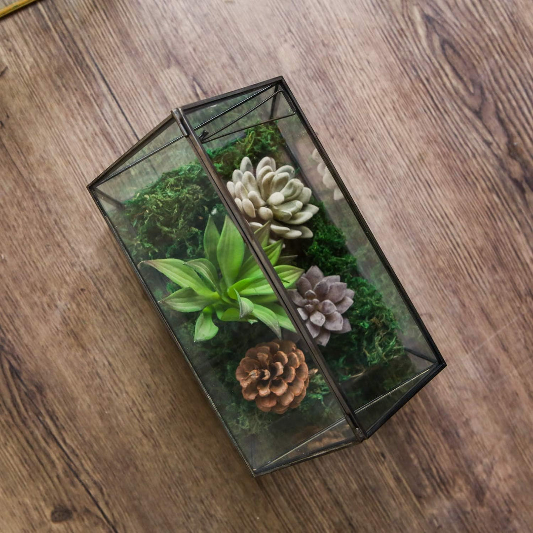 WONSUN Hausform, geschlossenes Glas, geometrisches Terrarium, Tischplatte, Sukkulenten-Haus, Garten,