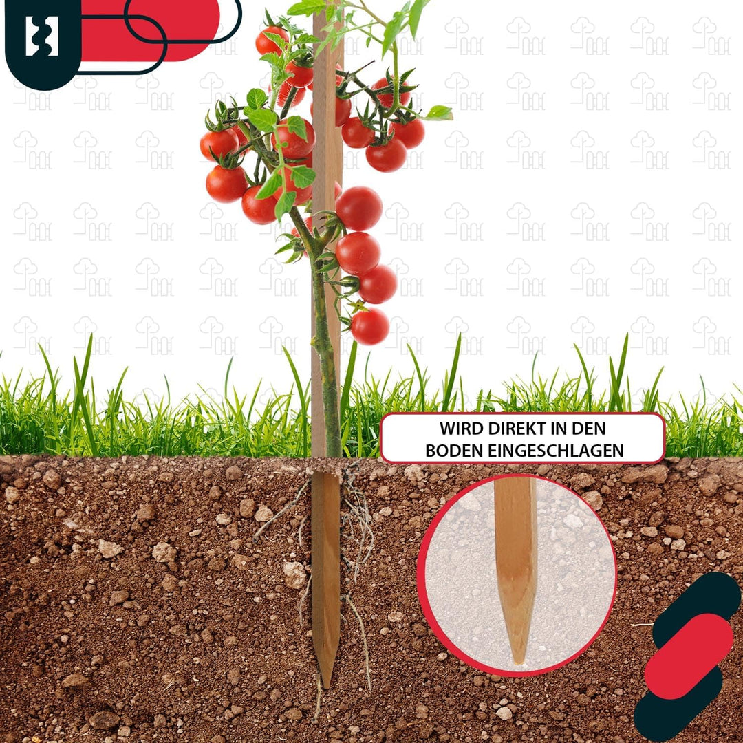 KOTARBAU® 10er Set Tomatenstäbe Pflanzstäbe 120 cm Zaunpfahl Holzpfosten Holzpflock angespitzt Pflan
