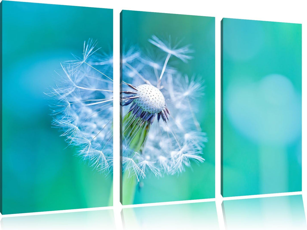 Pixxprint Schöner weisser Löwenzahn als Leinwandbild - Grösse: 3-Teilig (120x80cm) - Wandbild - Kuns