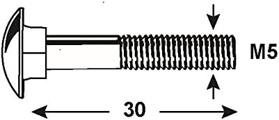 Connex Schlossschrauben M5 x 30 mm, Edelstahl, Silber, DIN 603, 1000 g, KL4540530, M5 x 30 mm