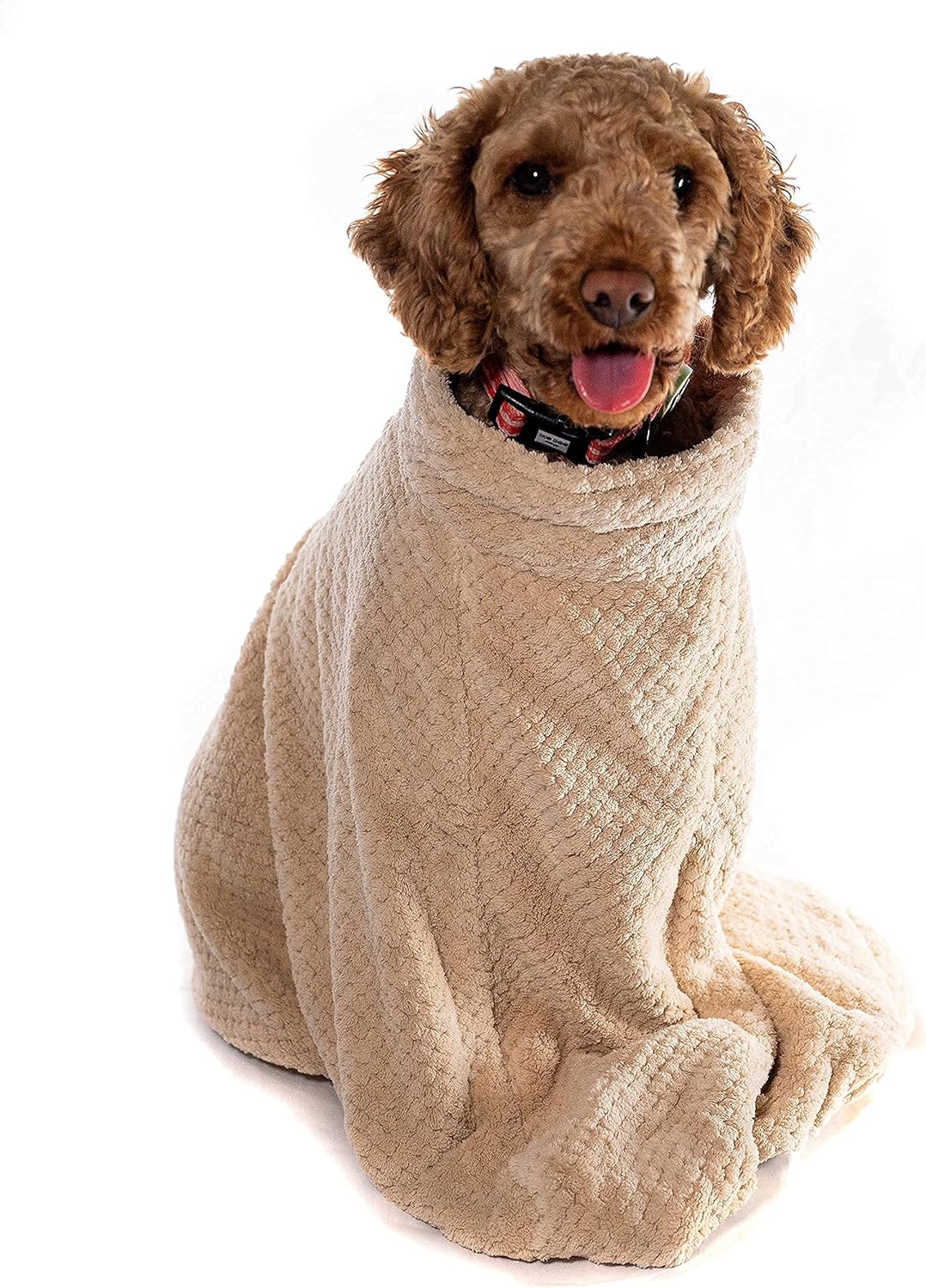 pet wiz Premium Mikrofaser Hunde-Trockentasche, super saugfähig und schnell trocknend, Bademantelhan