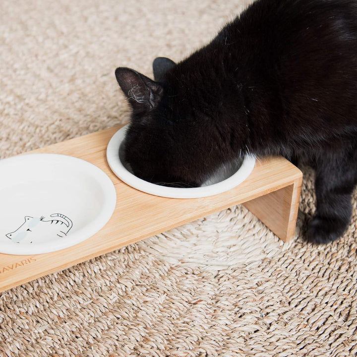 Navaris Futternapf Katze Futterstation Set - Keramiknapf für Katzen Hunde - Keramik Fressnapf Set Fu