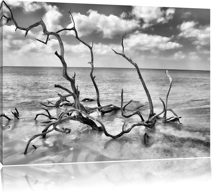 Pixxprint Monocrome, Strand Meer Havanna Kuba, Format: 100x70 auf Leinwand, 100x70