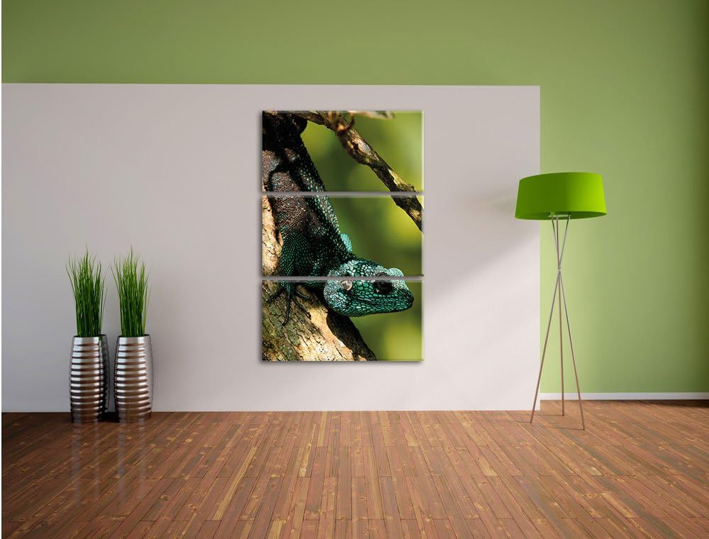 Pixxprint Agama auf Baum AST als Leinwandbild/Grösse: 3 Teilig (120x80) cm/Wandbild/Kunstdruck/ferti