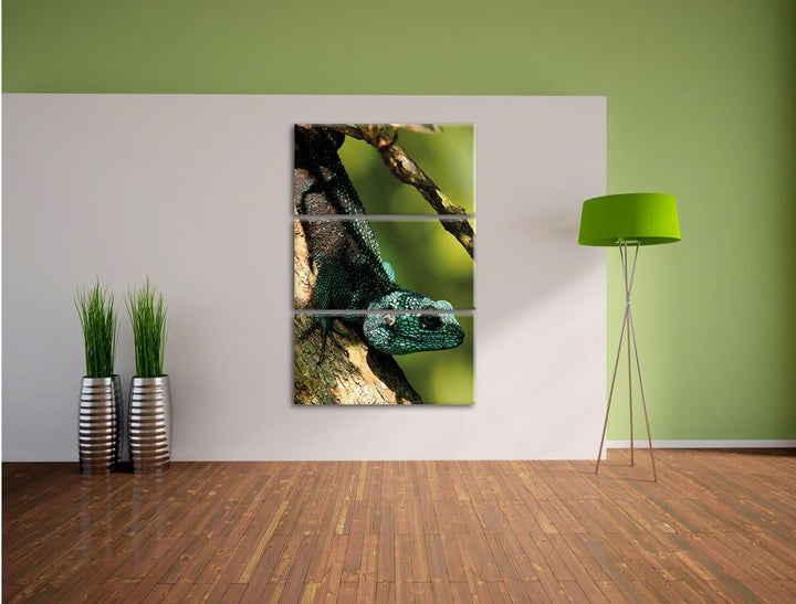 Pixxprint Agama auf Baum AST als Leinwandbild/Grösse: 3 Teilig (120x80) cm/Wandbild/Kunstdruck/ferti