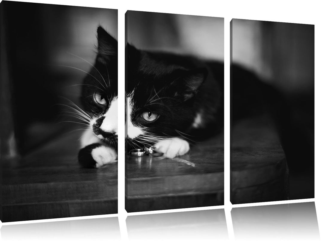 Schwarze Katze spielt mit Ehering B&W Detail 3-Teiler Leinwandbild 120x80 Bild auf Leinwand