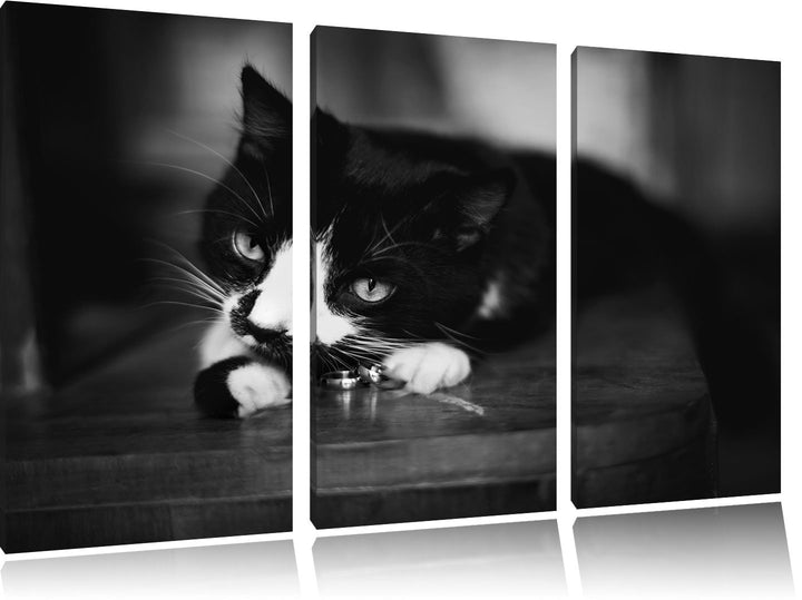 Schwarze Katze spielt mit Ehering B&W Detail 3-Teiler Leinwandbild 120x80 Bild auf Leinwand