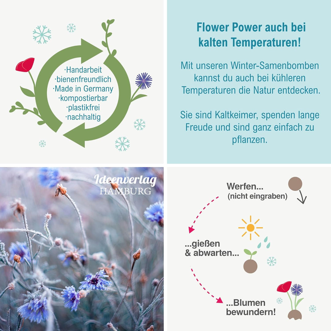 10x "Winterblumen" Winter Samenbomben Kindergeburtstag / treiben aus bei Kälte! / Geschenke Mitgebse