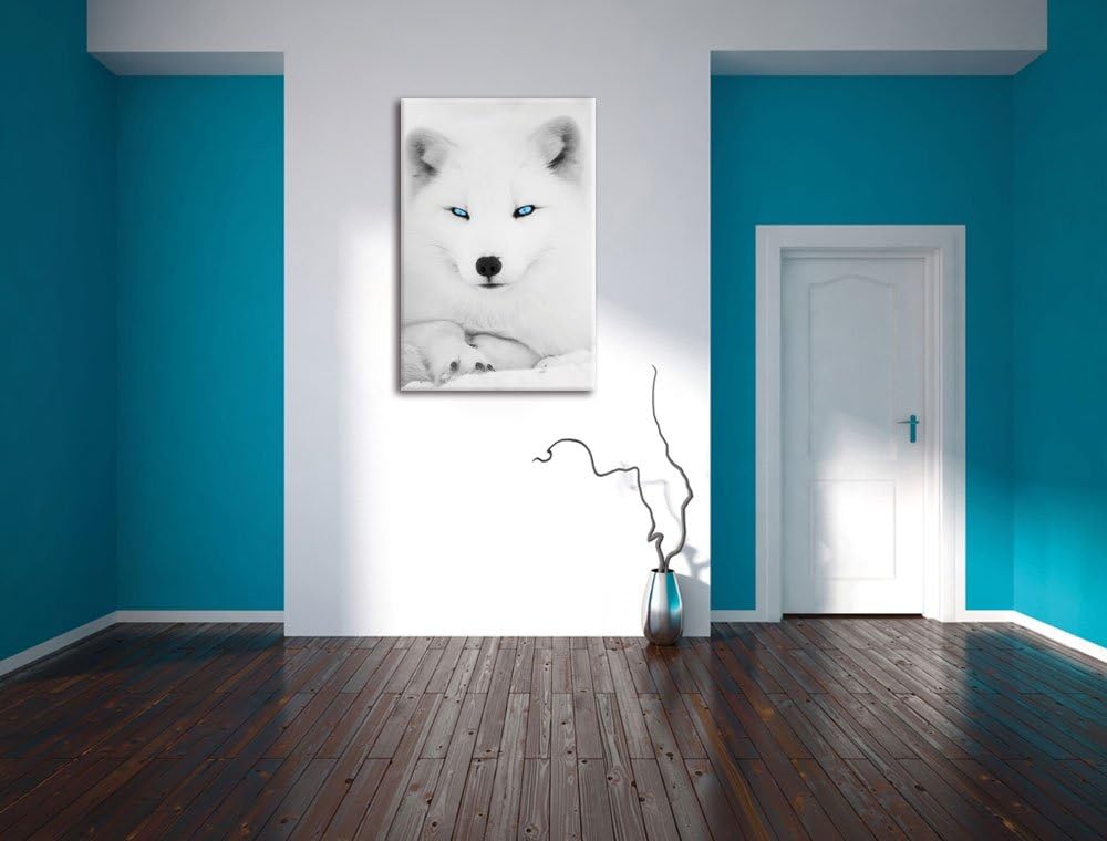 Pixxprint liegender Polarfuchs mit strahlenden Augen schwarz/weiss, Format: 70x100 auf hochkantiges