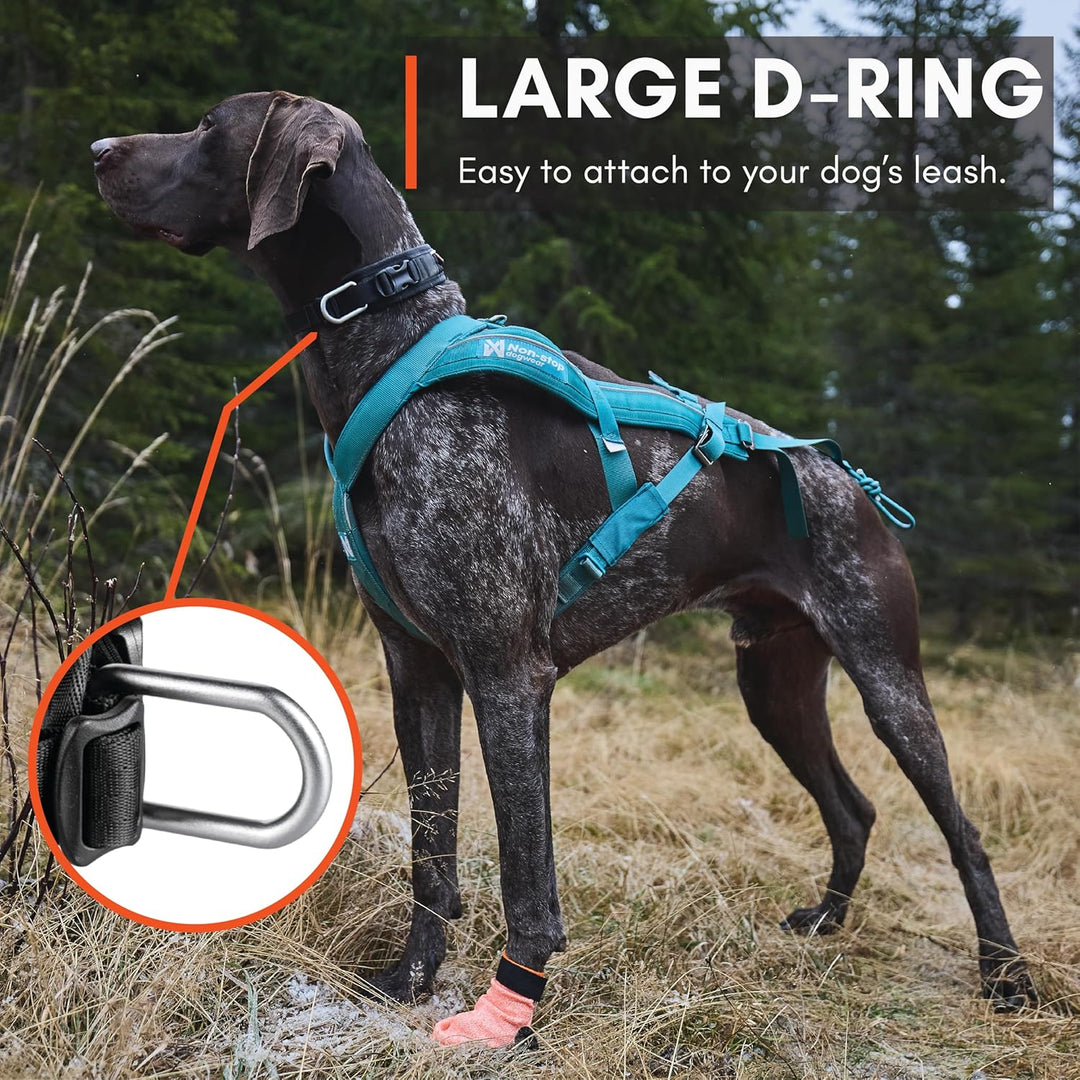 Non-stop dogwear Rock Collar Adjustable |3446| Verstellbares Funktionshalsband, Grösse:XL