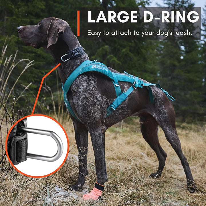 Non-stop dogwear Rock Collar Adjustable |3446| Verstellbares Funktionshalsband, Grösse:XL