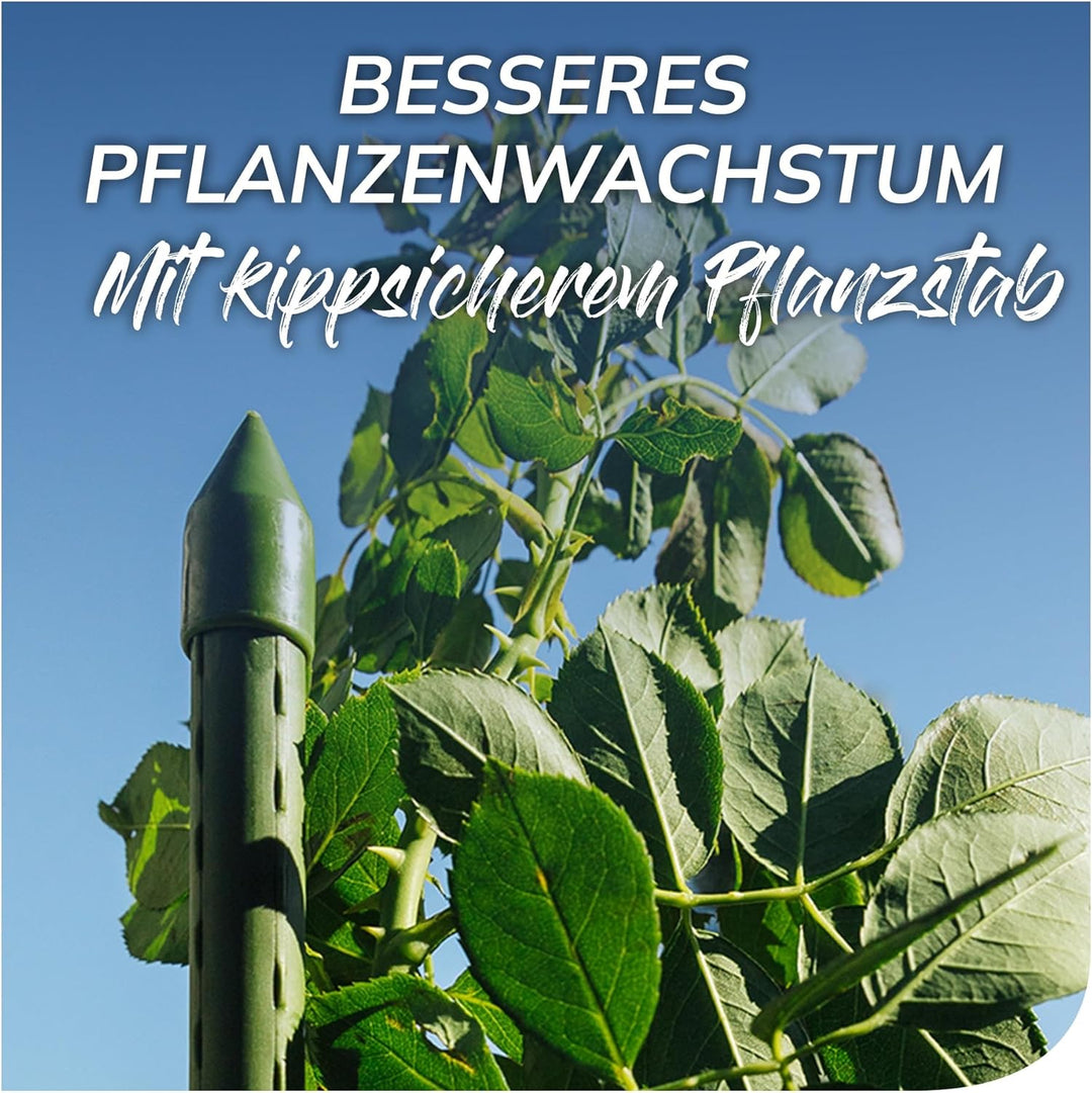 bellissa - Rankhilfe Kunststoff grün 10er Set 60cm Ø 8mm Rankstäbe - Hochwertige Pflanzenstütze mit