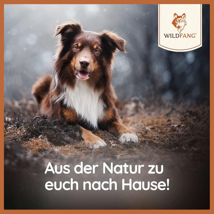 Geweihe für Hunde, Kaustangen Hund, Kauspielzeug Hund, Hunde Kauartikel - Salmon Hirschgeweih für Hu