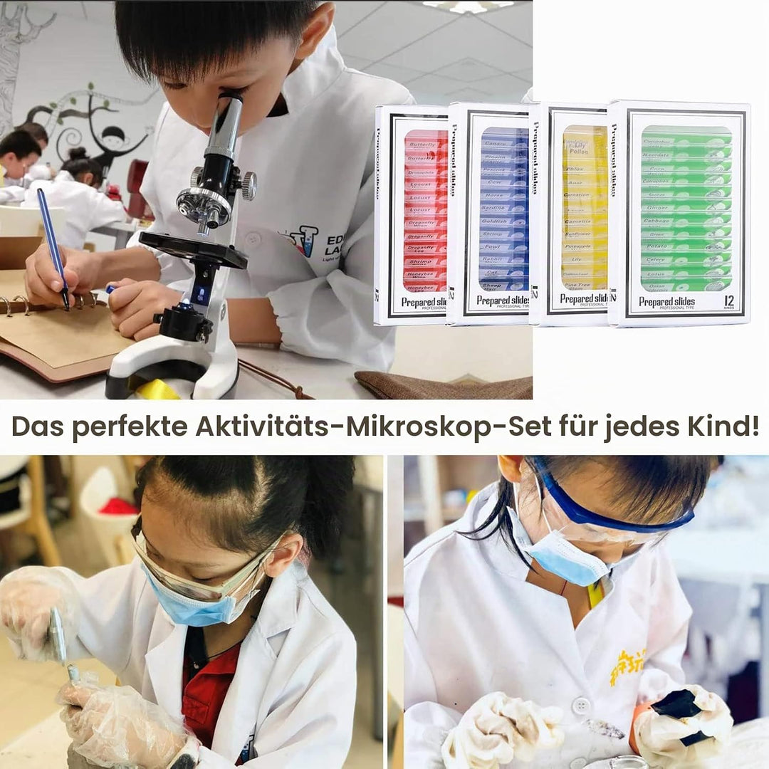 48 Stück Mikroskop Zubehör, Mikroskop Objektträger mit biologischen Proben, 24 Dauerpräparaten zu Ti