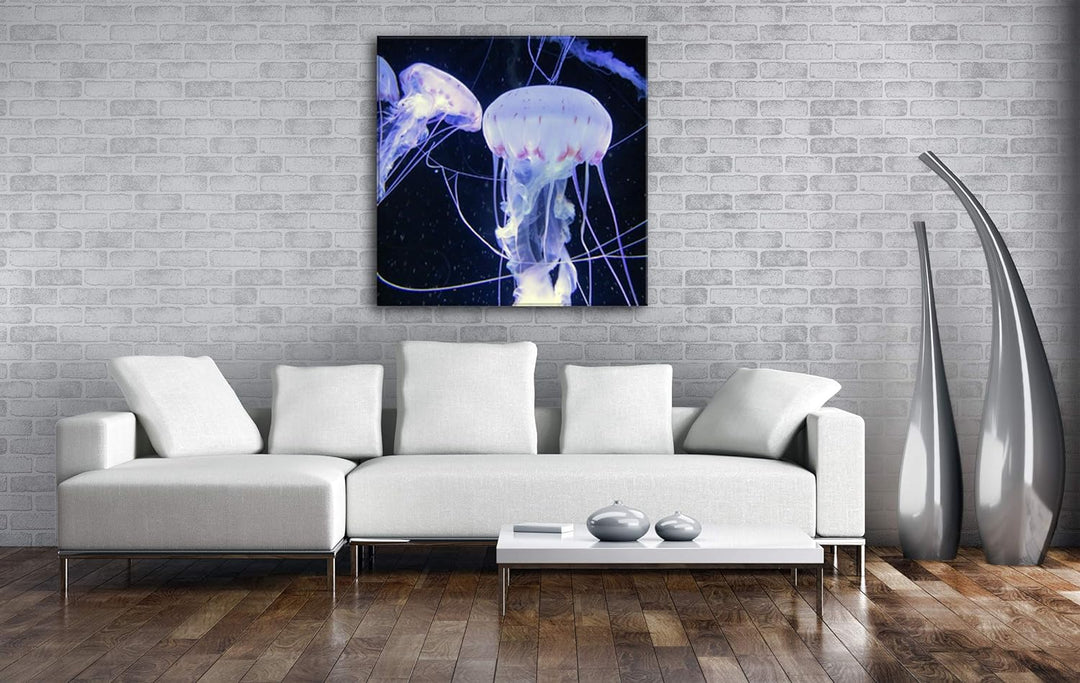 deyoli Elegante Meeresquallen Format: 60x60 als Leinwandbild, Motiv fertig gerahmt auf Echtholzrahme